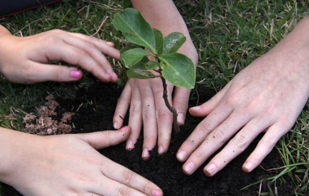 Celebra-se hoje o dia mundial do Planeta Terra