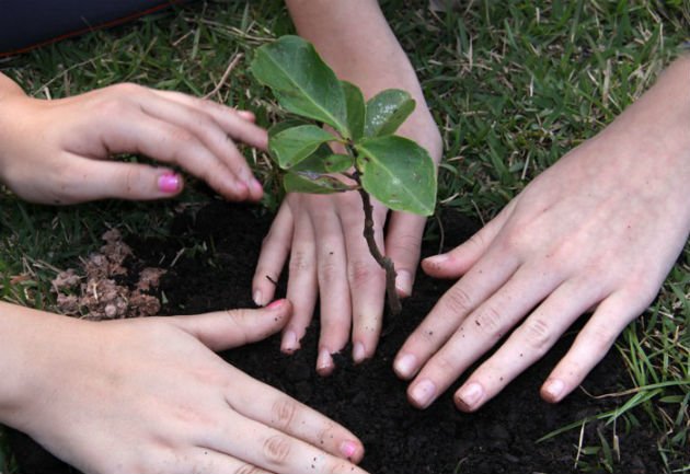 Celebra-se hoje o dia mundial do Planeta Terra