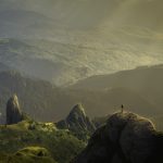 Dia de campo — restauração de mangais
